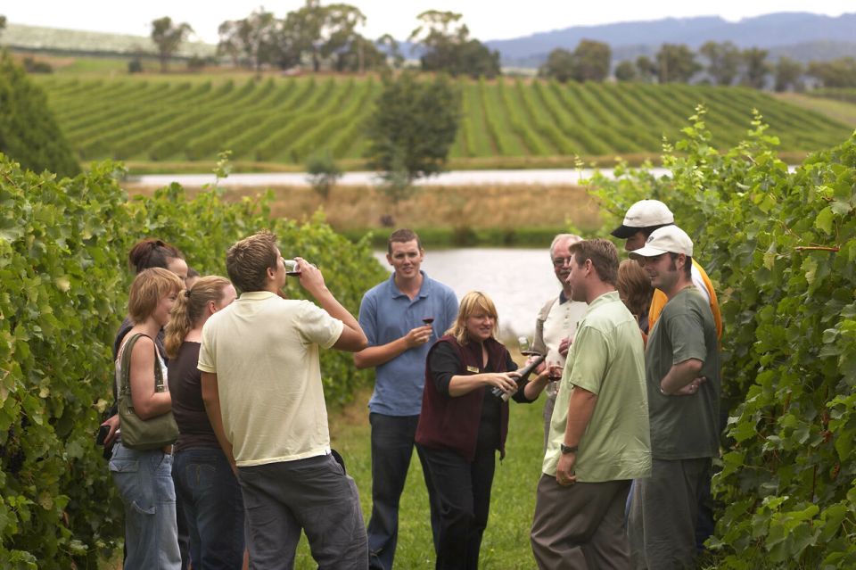 Rioja Winery & Traditional Lunch From Pamplona or Logroño - Tour Overview