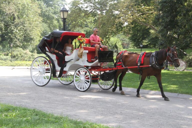 Romantic/proposal Central Park Carriage Tour Up To 4 Adults Carriage Tour Overview