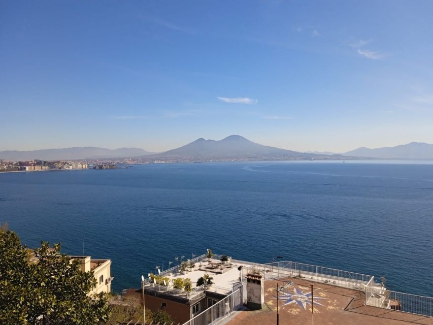 Rome: Pompeii and Naples Private Day Tour With Pizza Tasting - Tour Details and Highlights