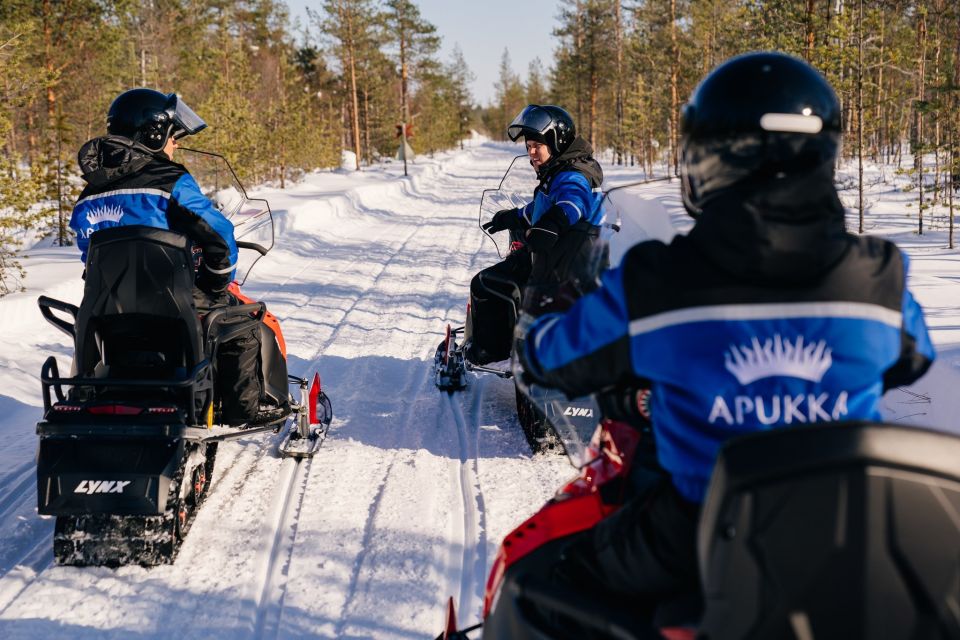 Rovaniemi: 4-Hour Snowmobile Safari - Activity Overview