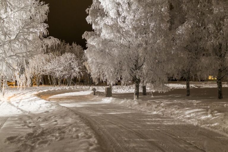 Rovaniemi: Arctic Ice Karting Tour Experience Thrilling Arctic Karting