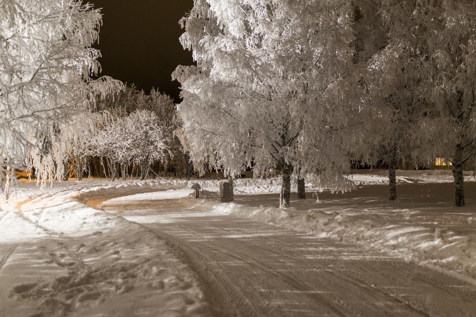 Rovaniemi: Arctic Ice Karting Tour - Experience Thrilling Arctic Karting