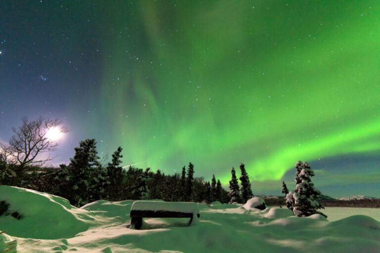 Rovaniemi: Aurora Borealis Snowmobile Safari With Campfire Activity Overview