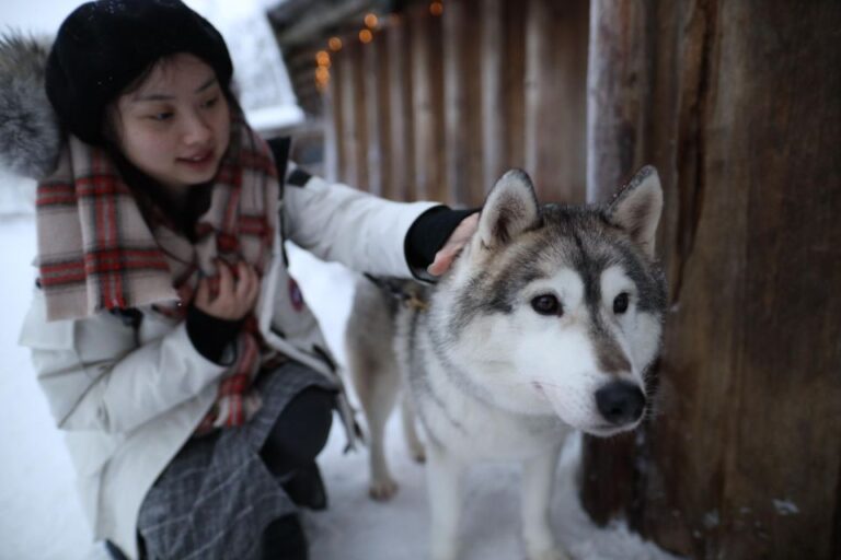 Rovaniemi: Santa Claus Village Tour Huskies & Reindeer Visit Tour Overview