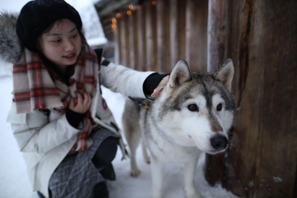 Rovaniemi: Santa Claus Village Tour Huskies & Reindeer Visit - Tour Overview