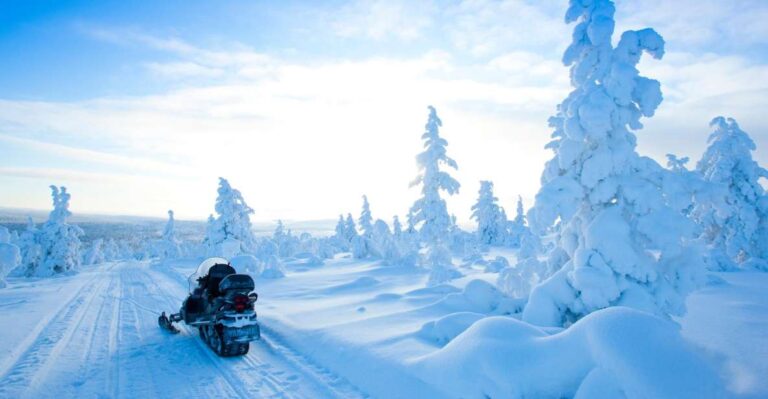 Rovaniemi: Snowmobile Safari in the Arctic Circle