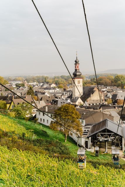 Rüdesheim Am Rhein: Wine Hike and Sights - Overview of the Tour