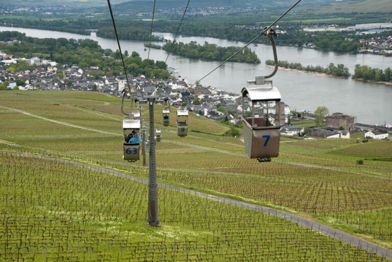 Rüdesheim: Private Guided Walking Tour Wine Making Heritage And Roman Traditions