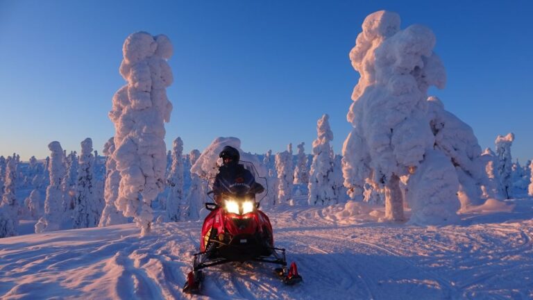 Saariselkä/inari: Evening Snowmobile Tour With Fire & Dinner Activity Overview