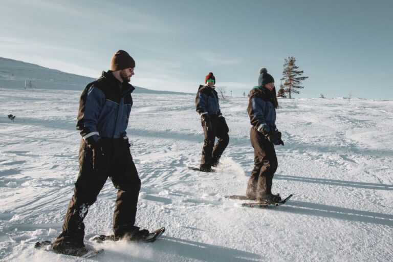 Saariselkä: Scenic Snowshoe Safari Overview Of The Activity