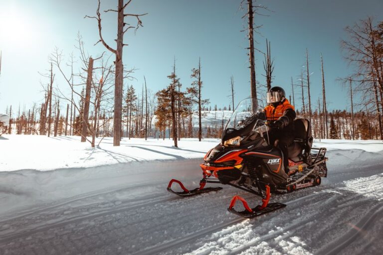 Saariselkä: Snowmobile Adventure For Adults Activity Overview