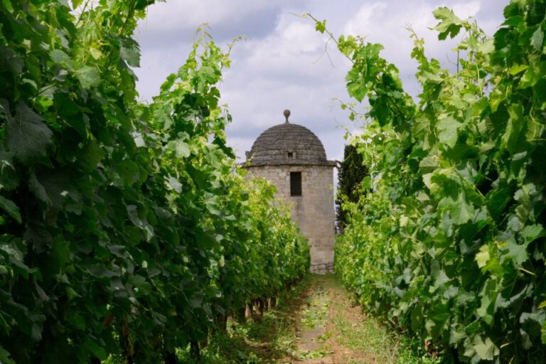 Saint-Emilion: Full-Day Tour With Tasting & Buffet Lunch