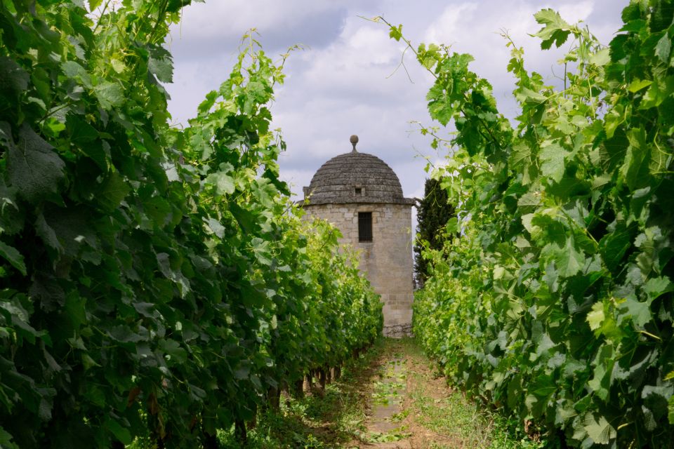 Saint-Emilion: Full-Day Tour With Tasting & Buffet Lunch - Tour Overview