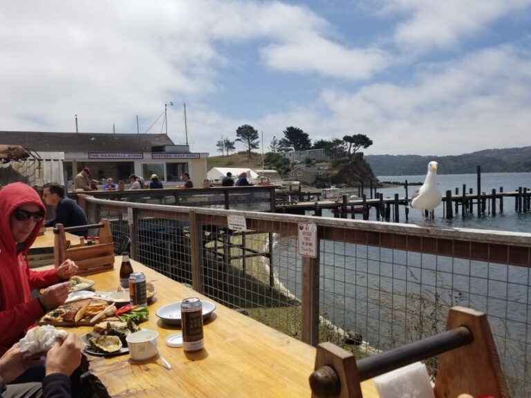 San Francisco: Cheese, Honey, Oysters & Wine Tour Of Sonoma Tour Overview And Highlights