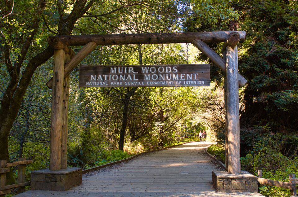 San Francisco: Private Muir Woods, Sausalito Half-Day Trip - Overview of the Tour