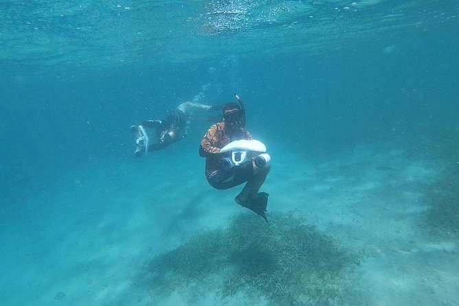 San Juan Turtle Spotting Snorkel Adventure With Videos