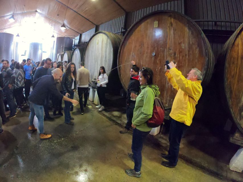 San Sebastian: Unique and Fun Basque Cider Culture Tour - Tour Overview