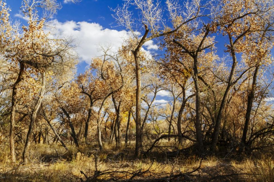 Santa Fe E-bike Adventure Half-Day Tour - Tour Details