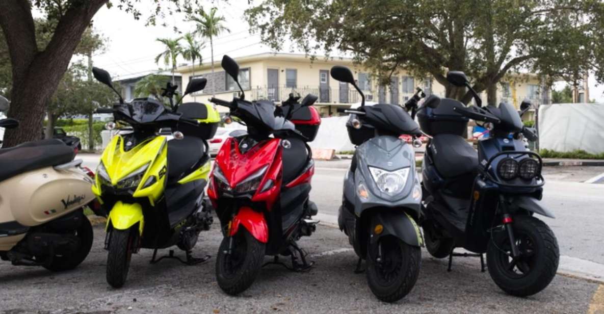 Scooter Dealer Miami - Wynwood - Service Overview