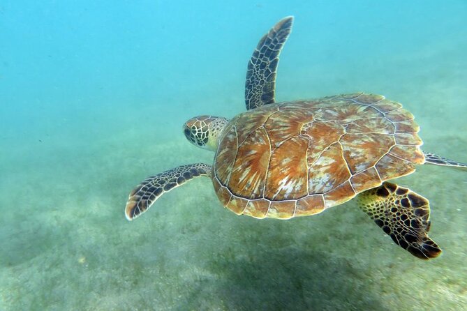 Scuba Diving For Beginners At San Juan Location And Meeting Point