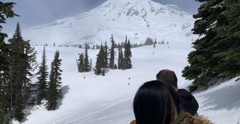 Seattle: Mt. Rainier Hiking W/ Waterfalls, Glaciers & Trees Tour Overview