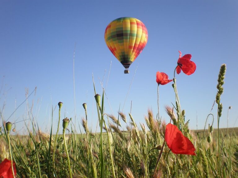 Segovia: Hot Air Balloon Flight With Optional 3 Course Lunch Admire Segovia From Above