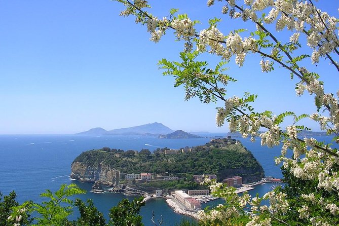 Semi Private Amalfi Coast Shore Excursion With Pick Up Tour Overview