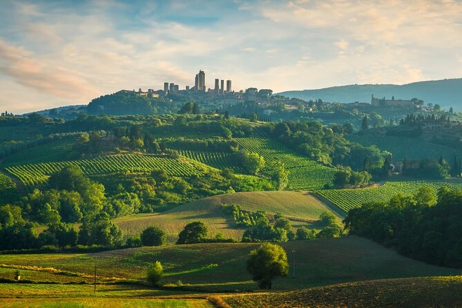 Semi Private Deep Wine Chianti And San Gimignano From Florence Explore The Chianti Wine Region