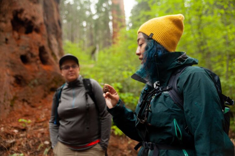 Sequoia: Private Tour & Hike Tour Overview