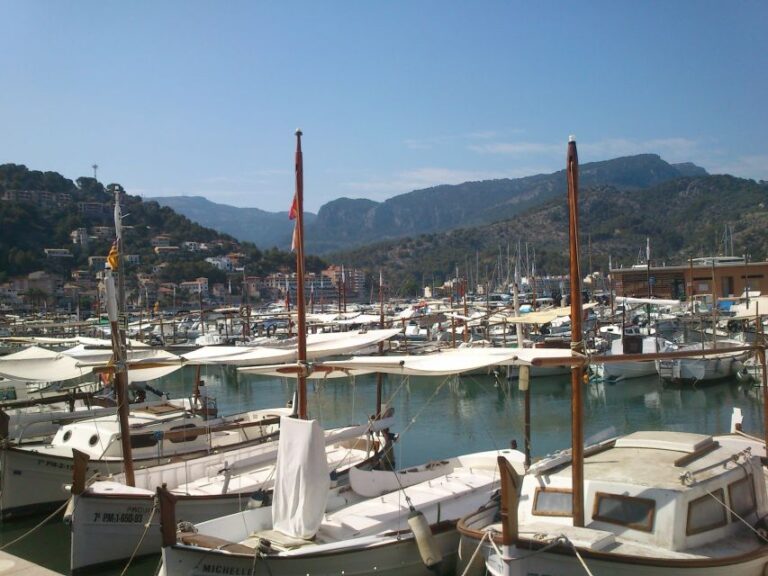 Serra De Tramuntana Half Day Tour: Soller And Valldemosa Tour Overview