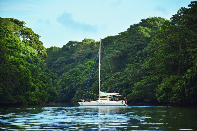 Shared EAST Cruise - Ile Aux Cerfs : Full Day Catamaran Cruise - Cruise Overview