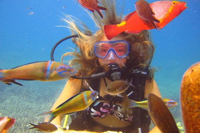 Side: Scuba Diving Under Water Museum Tour Participants