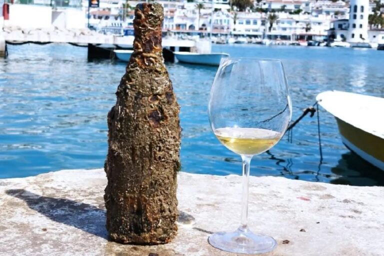 Sitges: Sailboat Trip + Walking Tour And Wine Cellar Tour Sailboat Trip And Scenic Views