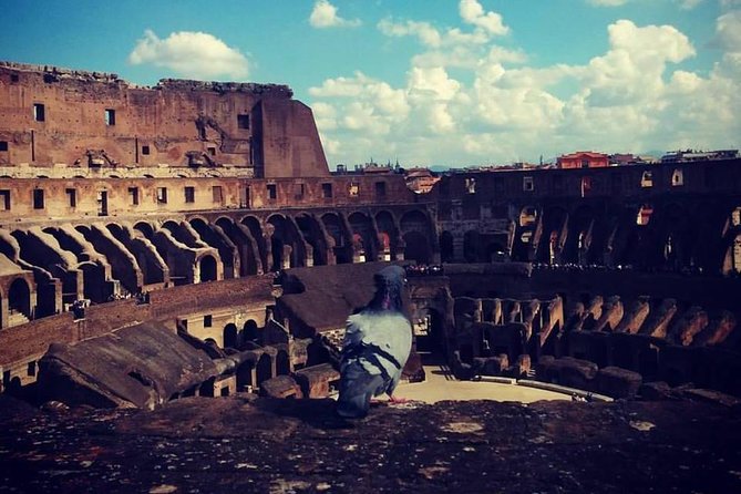 Skip The Line: Colosseum, Palatine Hill, And Roman Forum Private Tour Inclusions And Exclusions