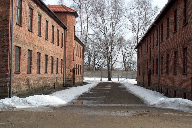 Small Group Auschwitz-Birkenau Guided Tour From Krakow ABTA