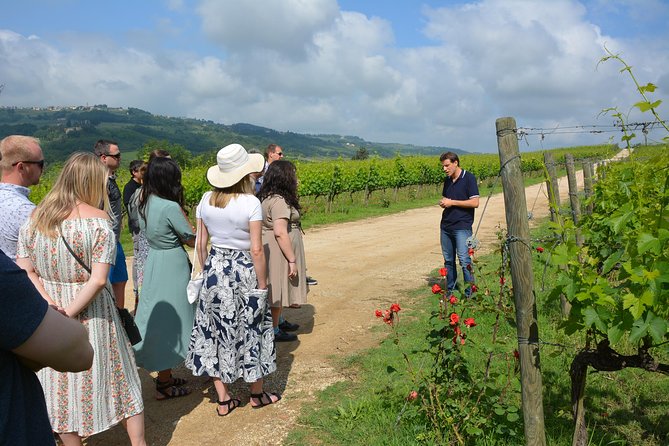 SMALL GROUP Experience Cheese & Chianti Visit Dairy & 3 Wineries - Inclusions