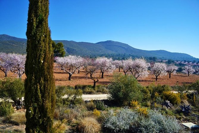 Small Group - Half-Day Wine Tour - Included in the Tour