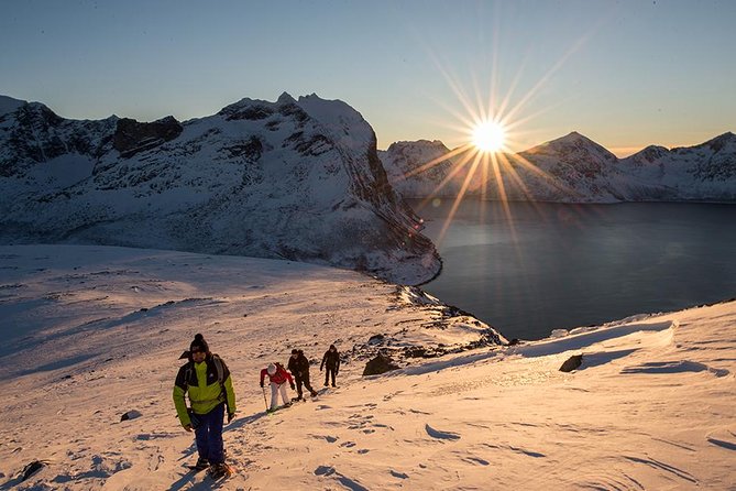 Small-Group Snowshoeing Tour From Tromso