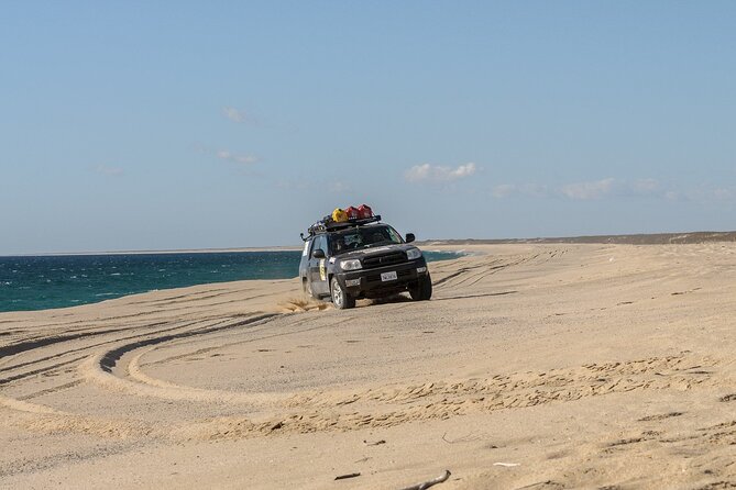 Small Sahara Desert From Agadir With Lunch 4x4 Logistics And Accessibility