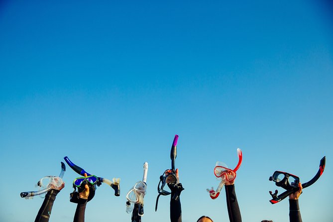 Snorkel Experience In Lanzarote Equipment Provided