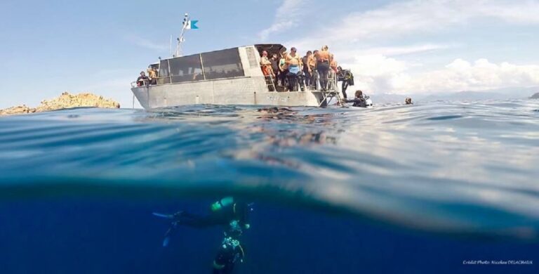 Snorkeling Snorkeling Overview Of The Experience