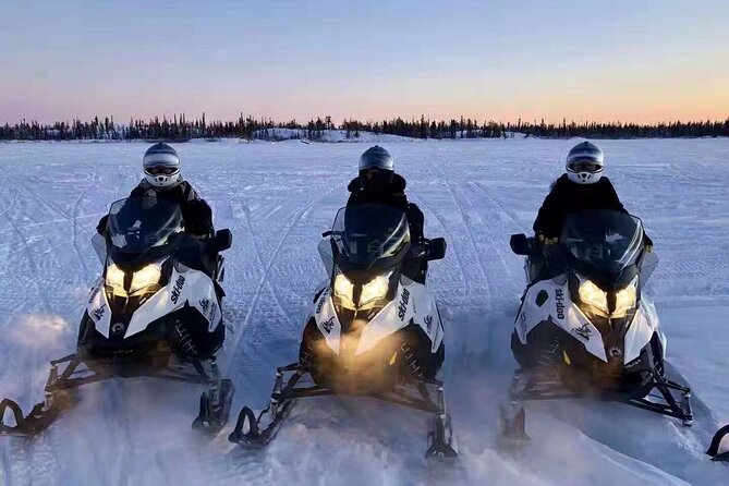 Snowmobile Tour