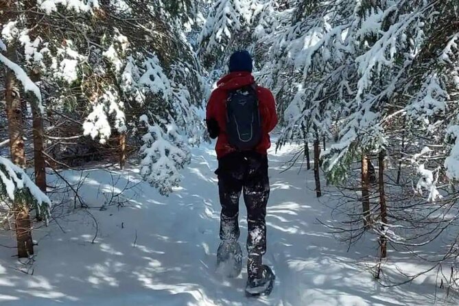 Snowshoe Awenda Provincial Park On Beautiful Georgian Bay Exploring Awenda Provincial Park