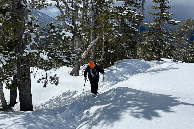 Snowshoeing At The Top Of The Sea To Sky Gondola Inclusions