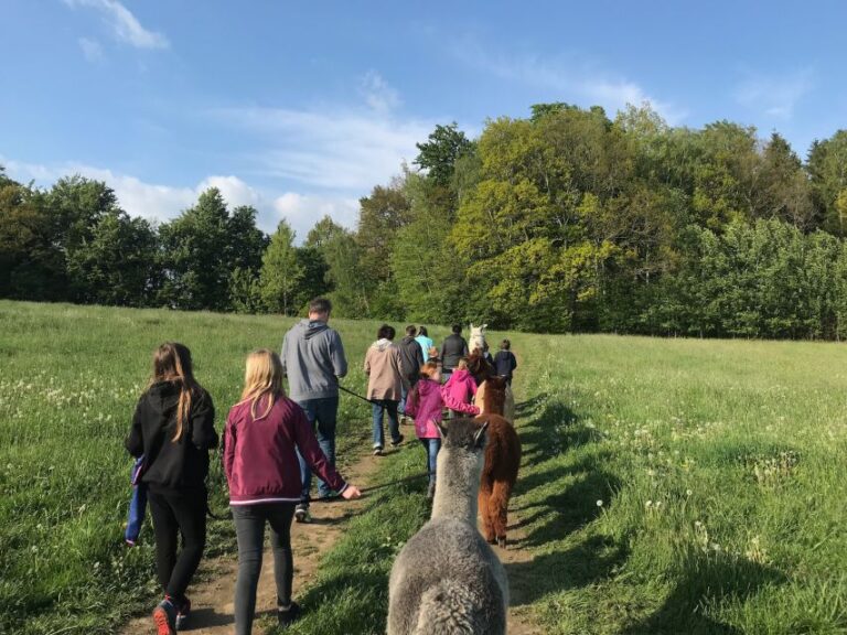 Sohland An Der Spree: Walk With An Alpaca Activity Details