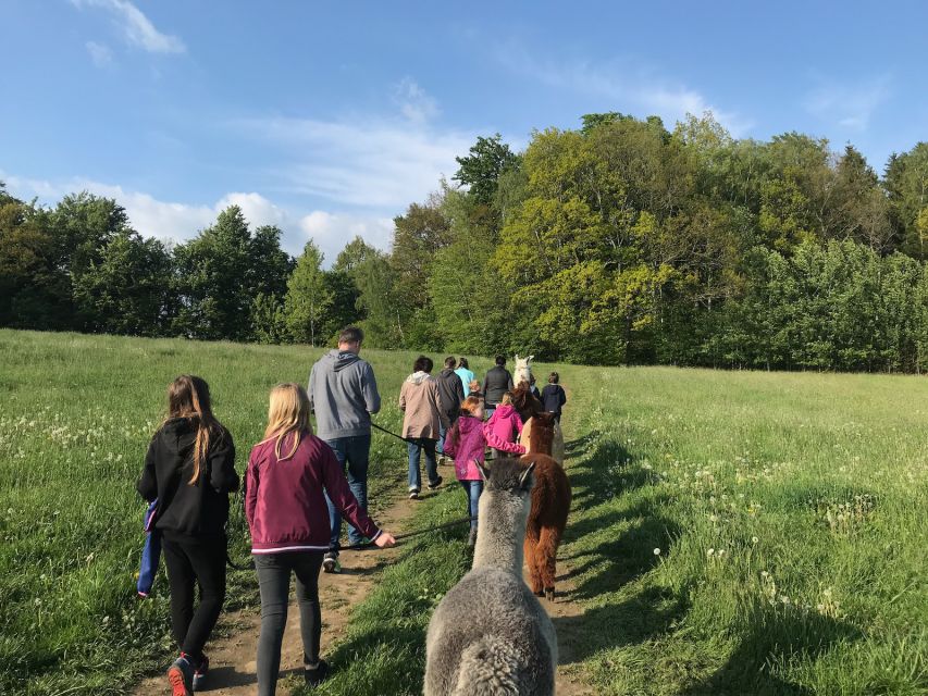 Sohland an Der Spree: Walk With an Alpaca - Activity Details