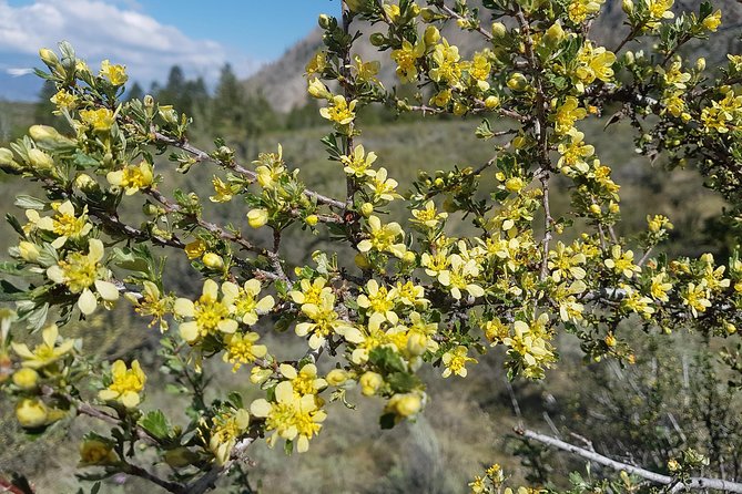 South Okanagan Desert Tour Destination Overview