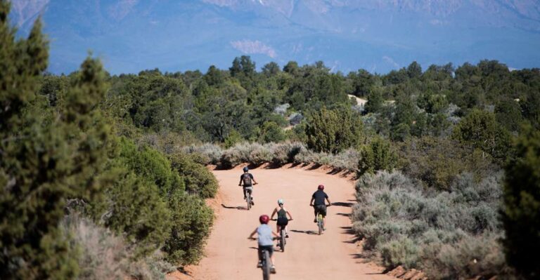 Springdale: Half Day Mountain Biking Adventure Zion National Park Views