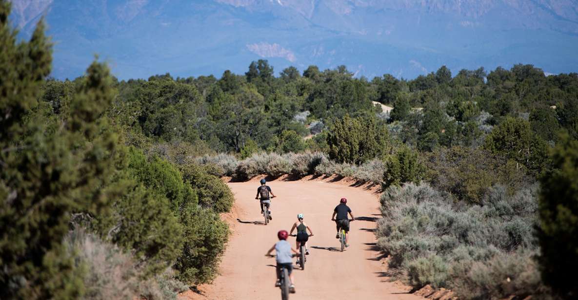 Springdale: Half-Day Mountain Biking Adventure - Zion National Park Views