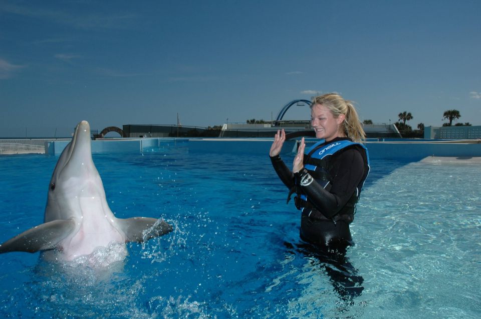 St. Augustine: Marineland Dolphin Encounter - About the Dolphin Encounter